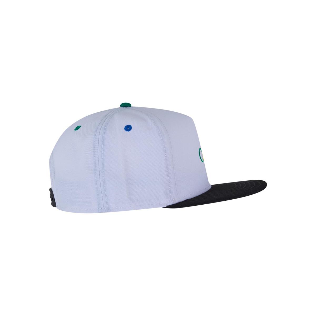 product/c/a/cayler-sons_cs2175-01928_3.jpg