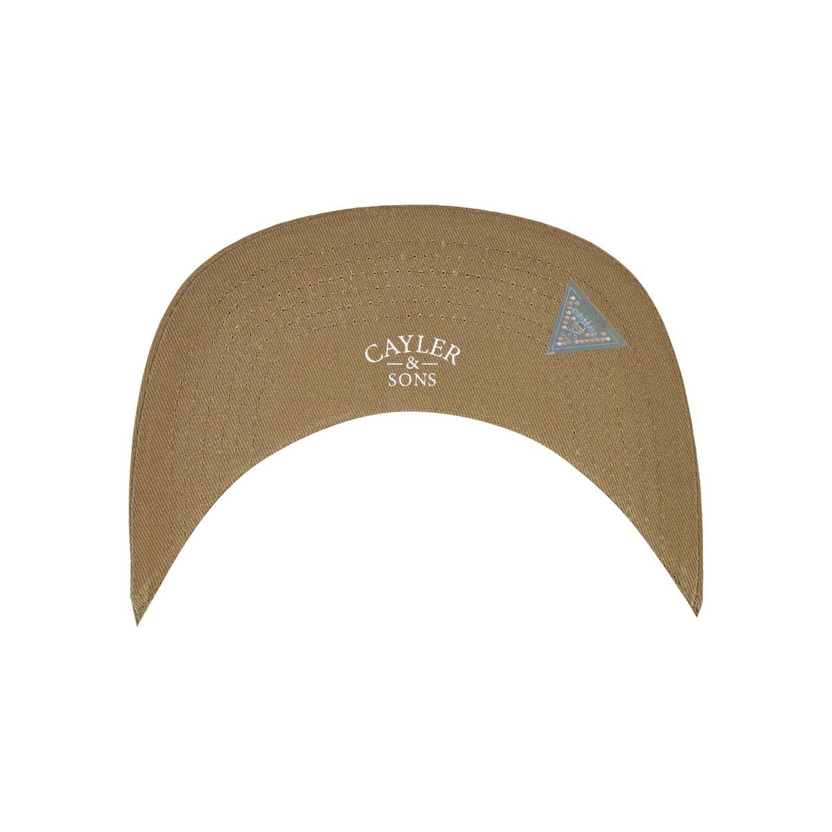 product/c/a/cayler-sons_cs3001-04079_4.jpg