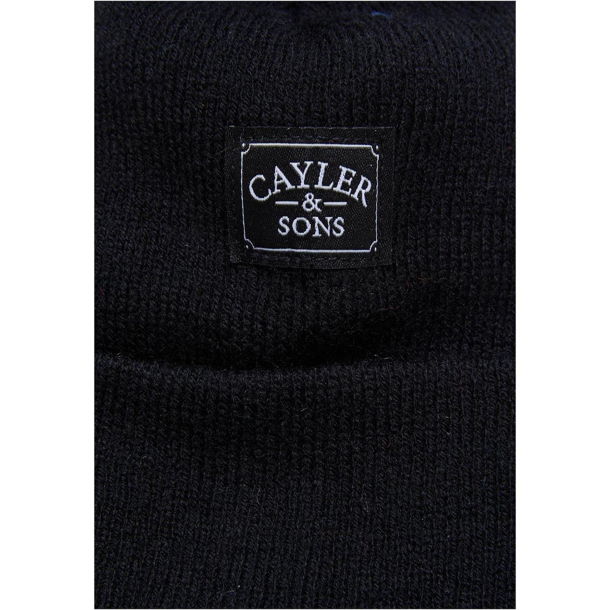 product/c/a/cayler-sons_cs3010-01193_2.jpg