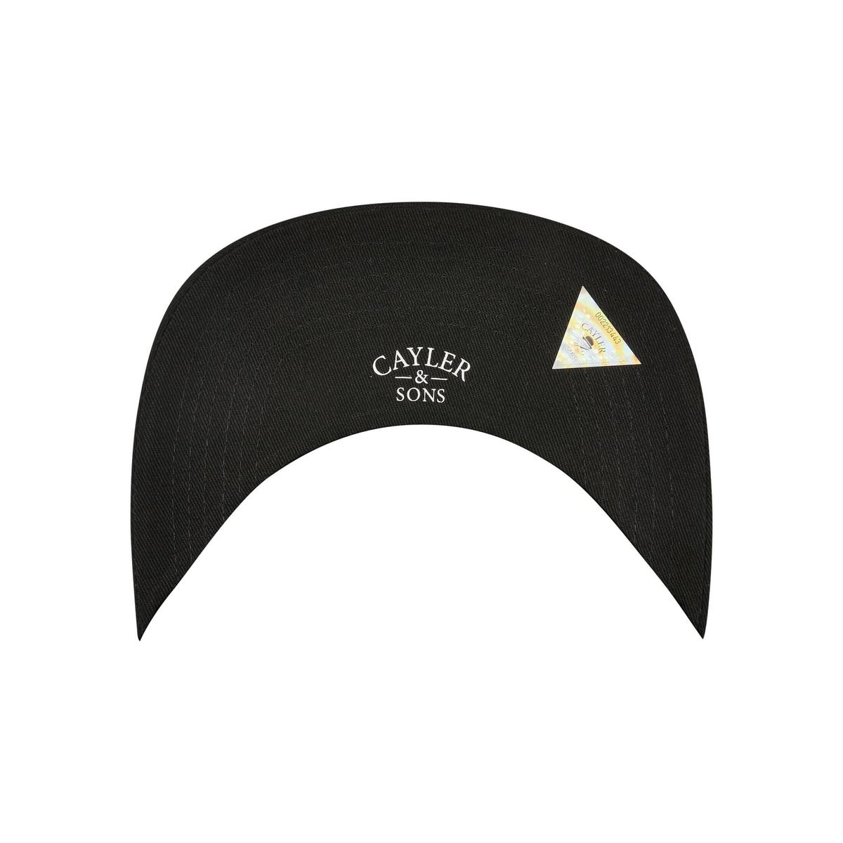 product/c/a/cayler-sons_cs3012-01193_4.jpg