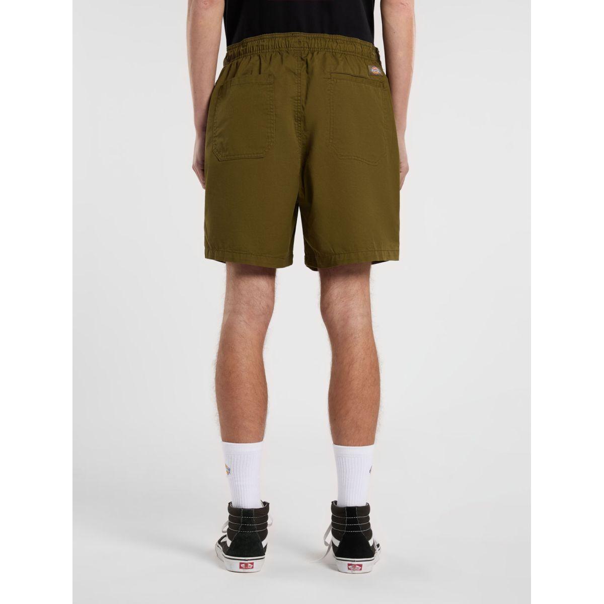 product/d/i/dickies_dk0a4xb2dko1_dark-olive_2.jpg