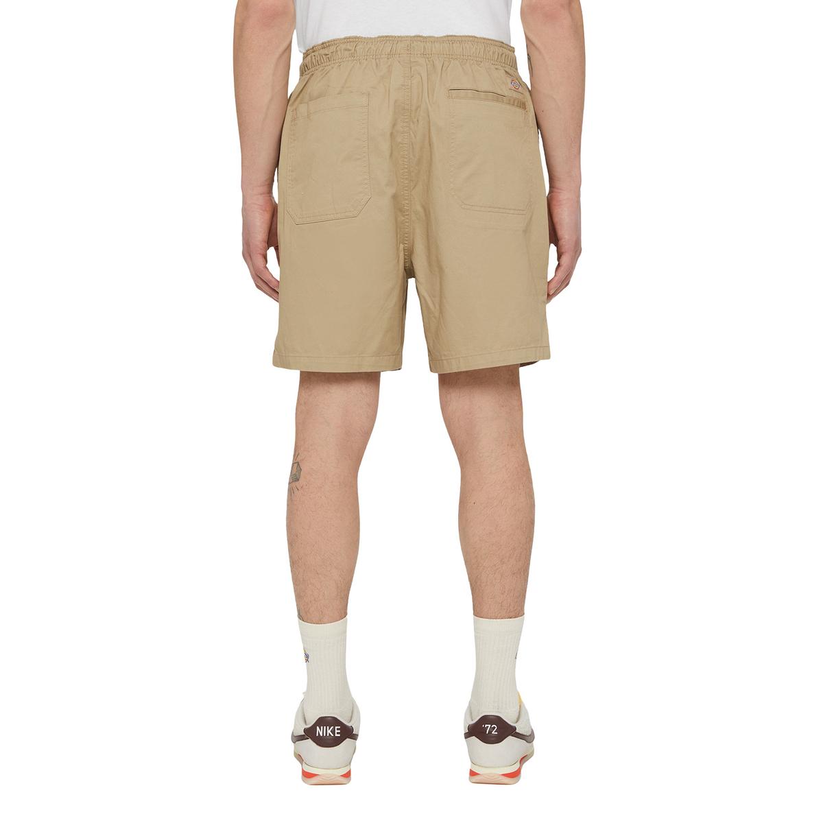 product/d/i/dickies_dk0a4xb2ds01_desert-sand_1.jpg