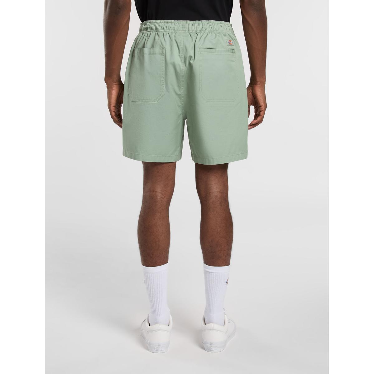 product/d/i/dickies_dk0a4xb2k361_iceberg-green_2.jpg
