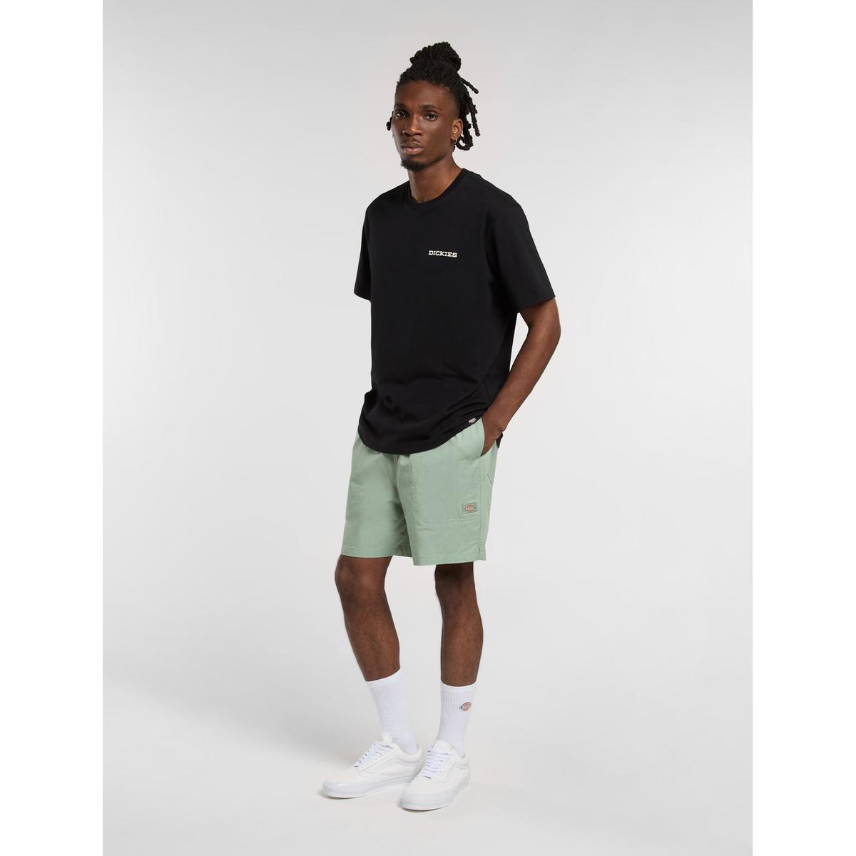 product/d/i/dickies_dk0a4xb2k361_iceberg-green_3.jpg