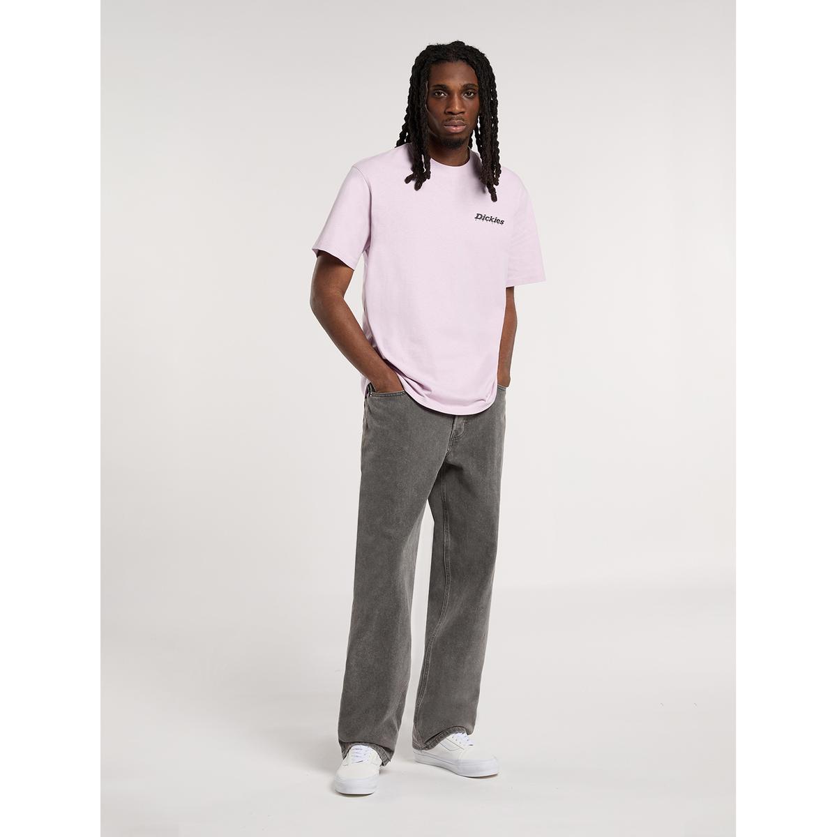 product/d/i/dickies_dk0a4xykl221_andorra-grey-wash-tinted_3.jpg