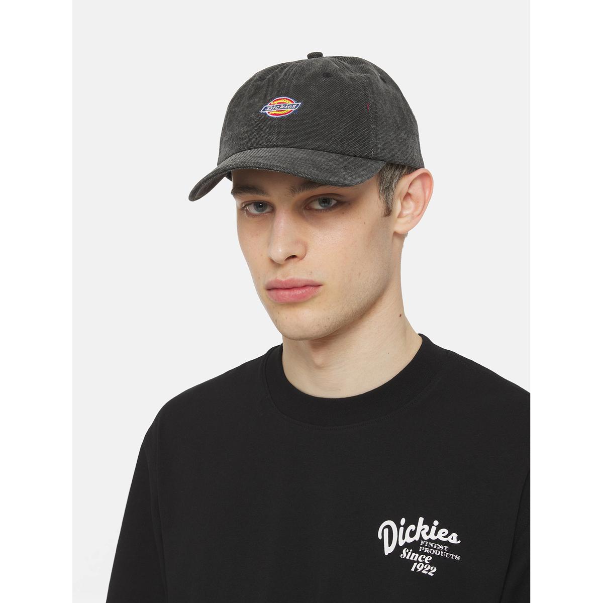 product/d/i/dickies_dk0a4y9iblk1_black_3.jpg