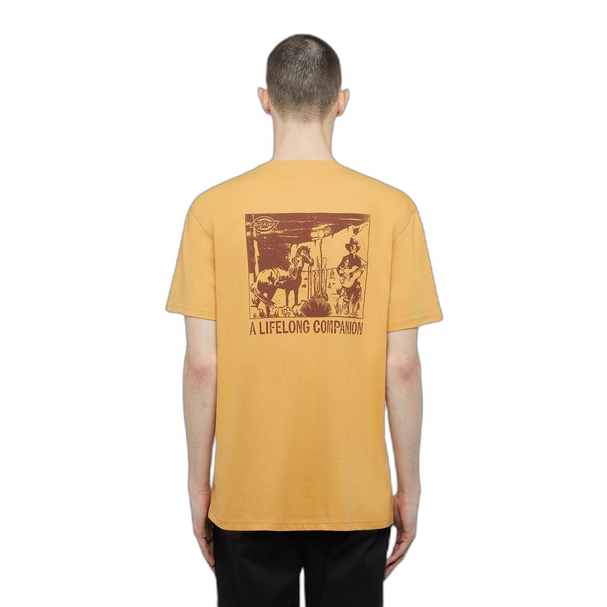 product/d/i/dickies_dk0a4z98k411_oak-buff_1.jpg