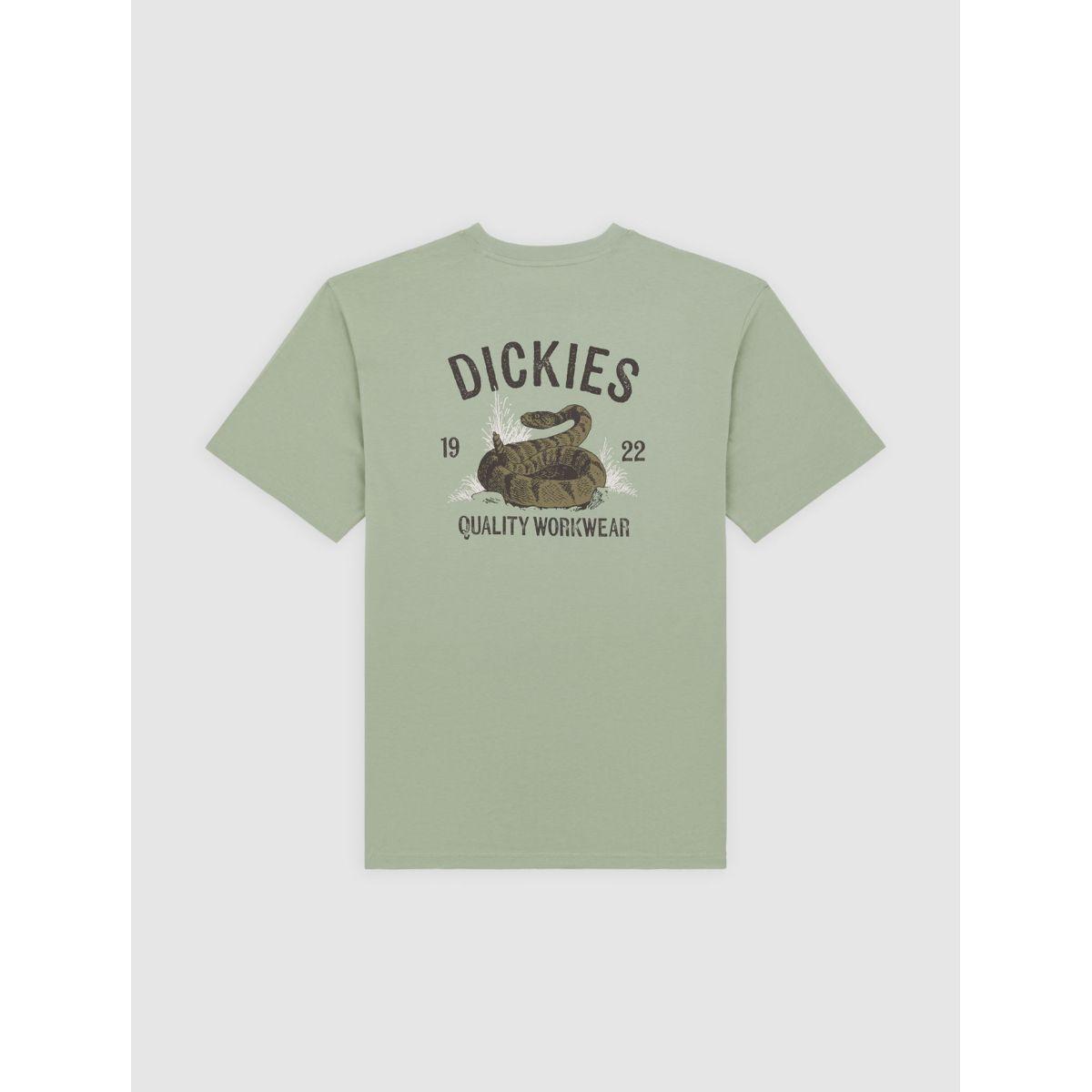 product/d/i/dickies_dk0a4z99k361_iceberg-green_2.jpg