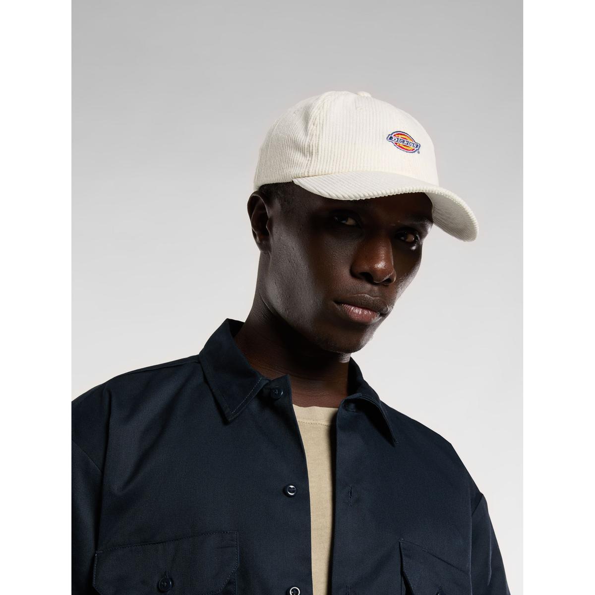 product/d/i/dickies_dk0a4zayc481_egret_2.jpg
