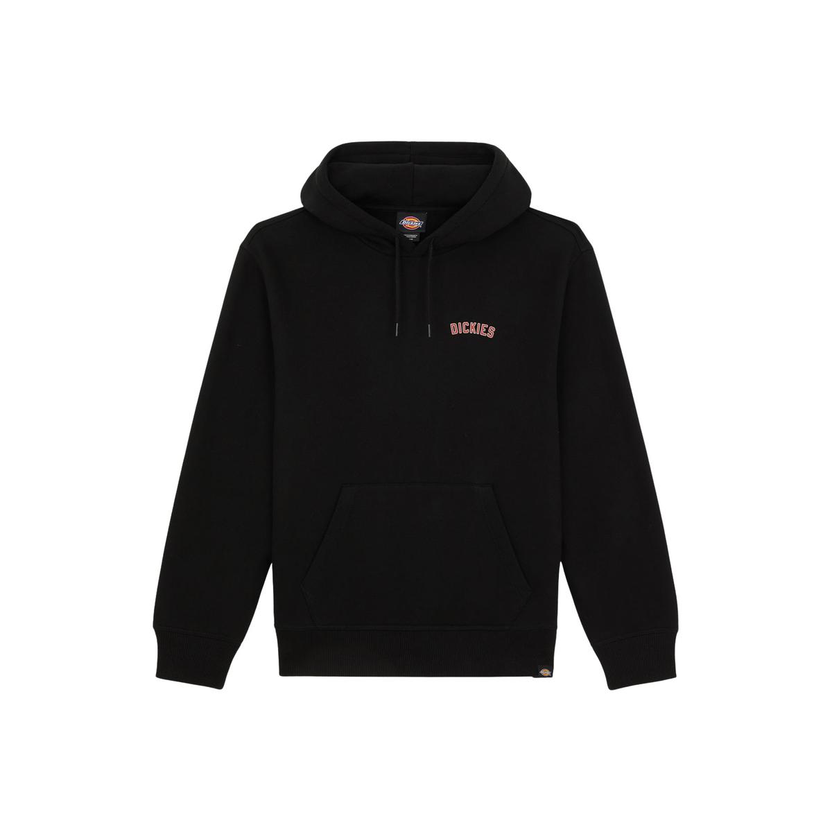 product/d/i/dickies_dk0a4zbablk1_black_1.jpg