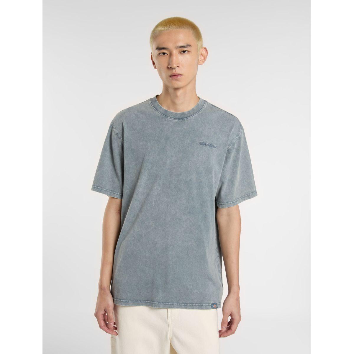 product/d/i/dickies_dk0a866bg701_stormy-weather_3.jpg