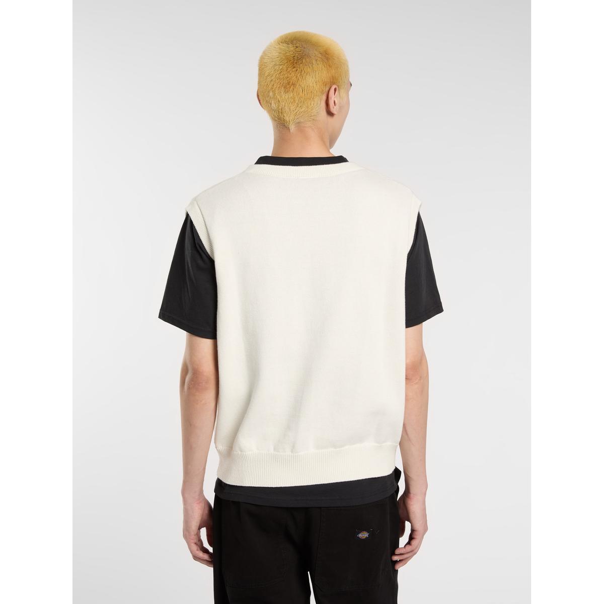 product/d/i/dickies_dk0a87oyc481_egret_4.jpg