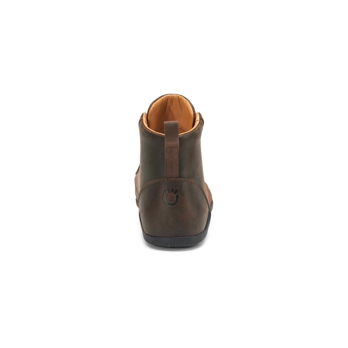 product/d/n/dnl-libr_3.jpg