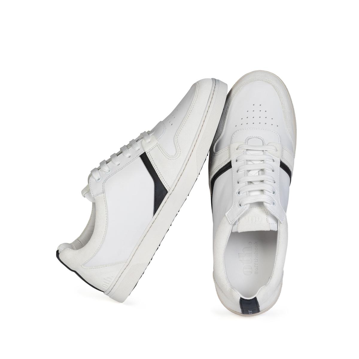 product/s/2/s21_glencoe_ogl04_01_1_2.jpg