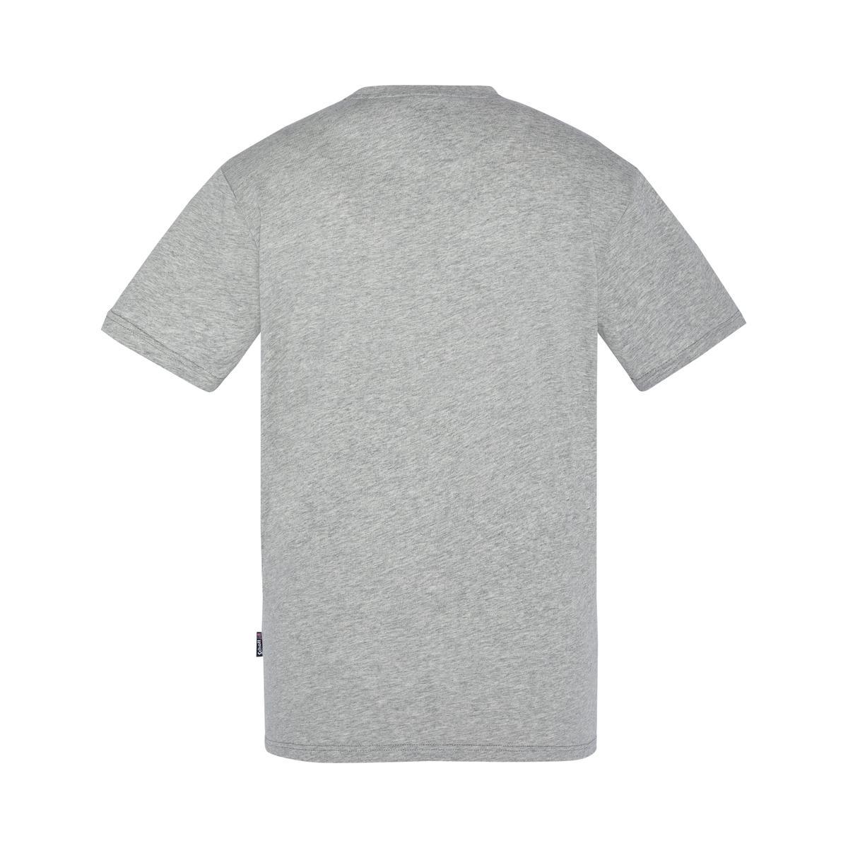 product/t/s/tslogocasualgrey_2.jpg