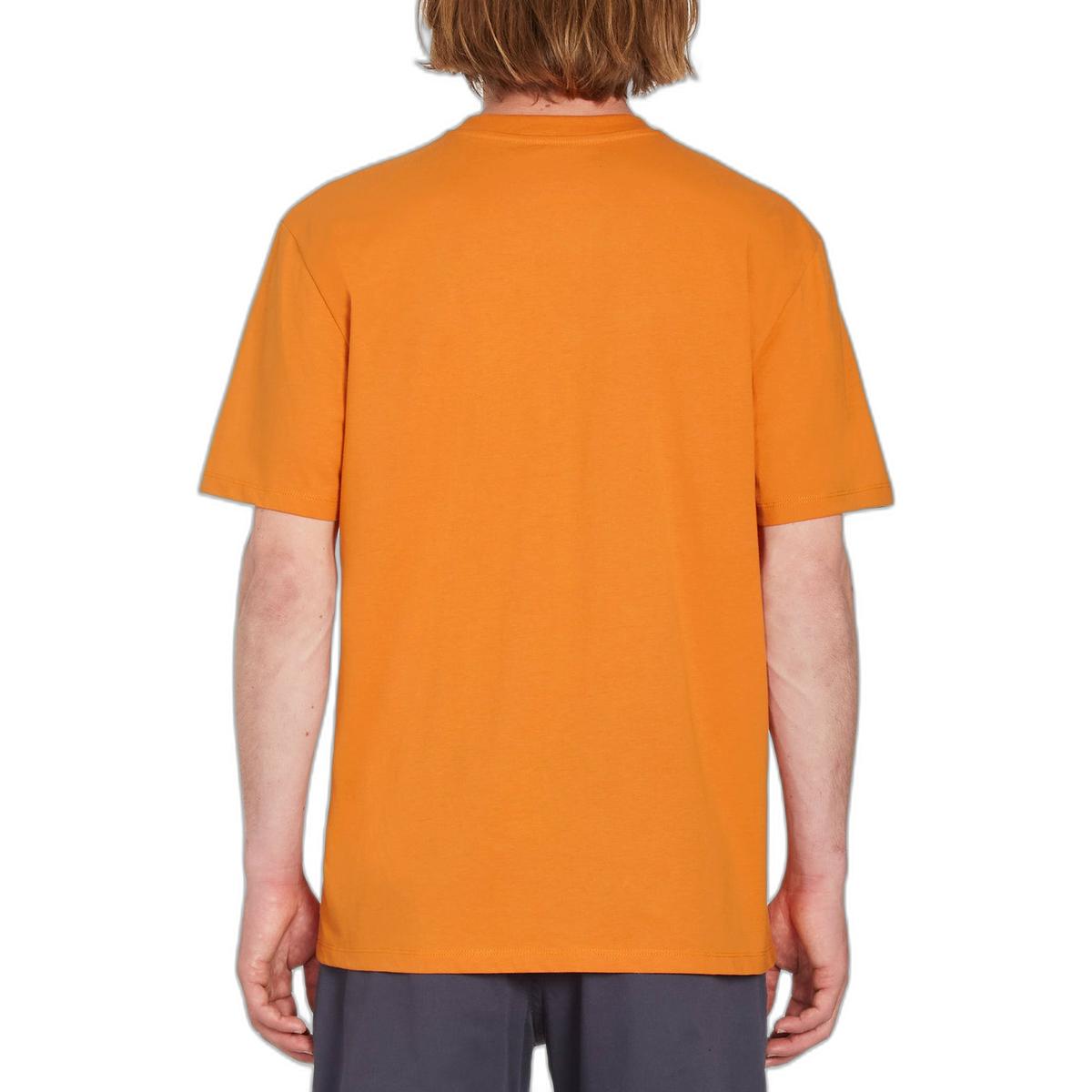 product/v/o/volcom_a3512326-saf-xx_2.jpg