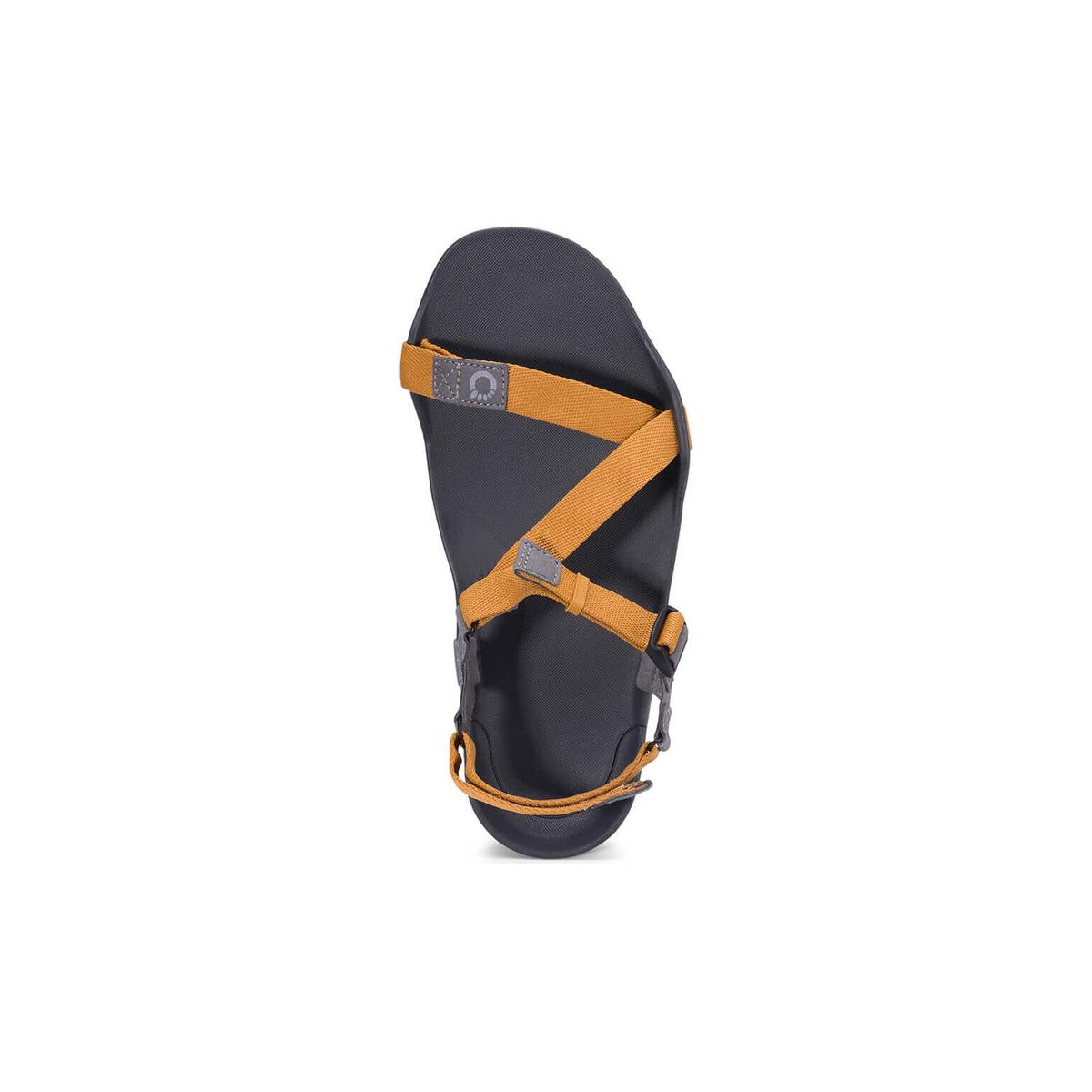 product/x/e/xero-shoes_zkm-ngt_3.jpg