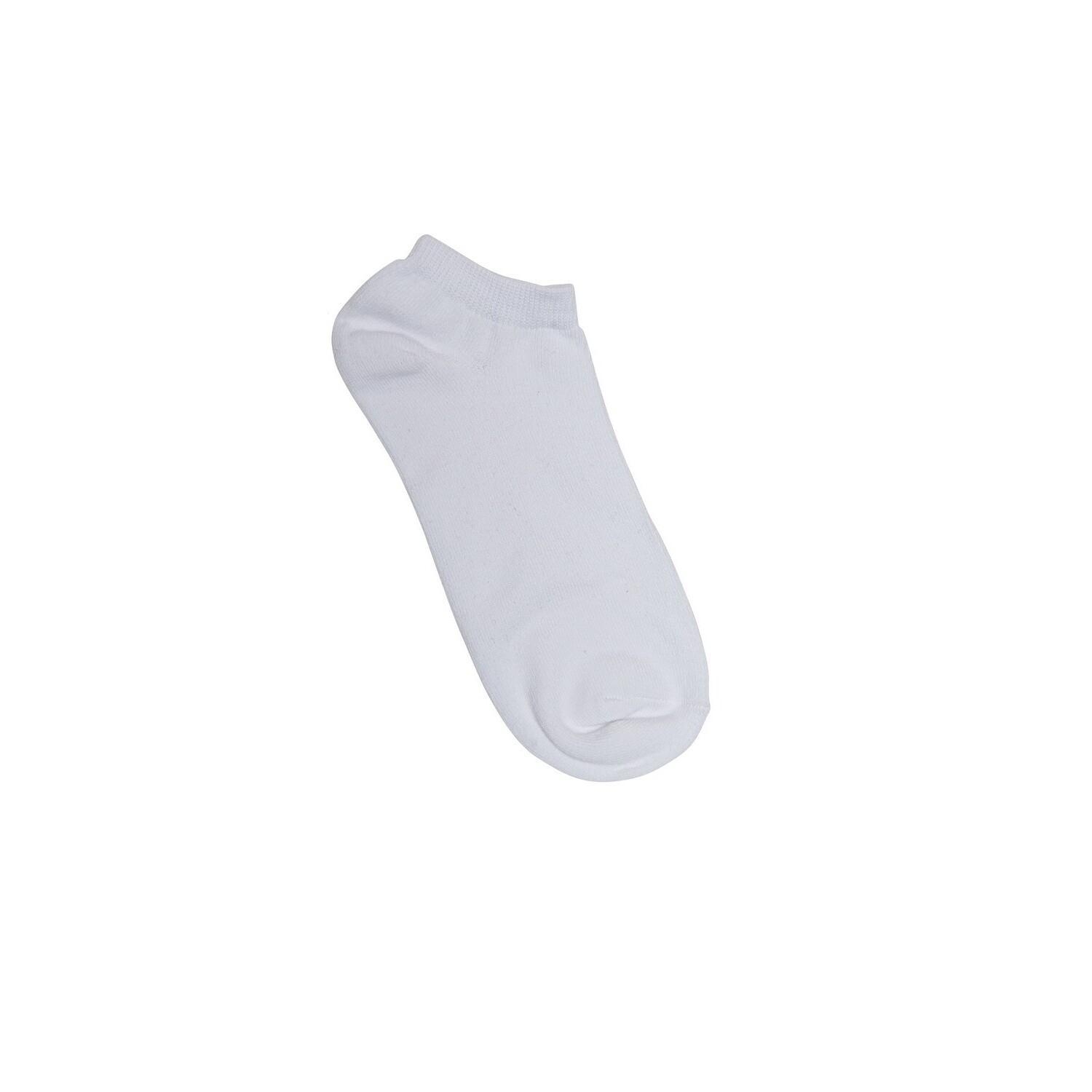 product/1/9/1976204_1.jpg