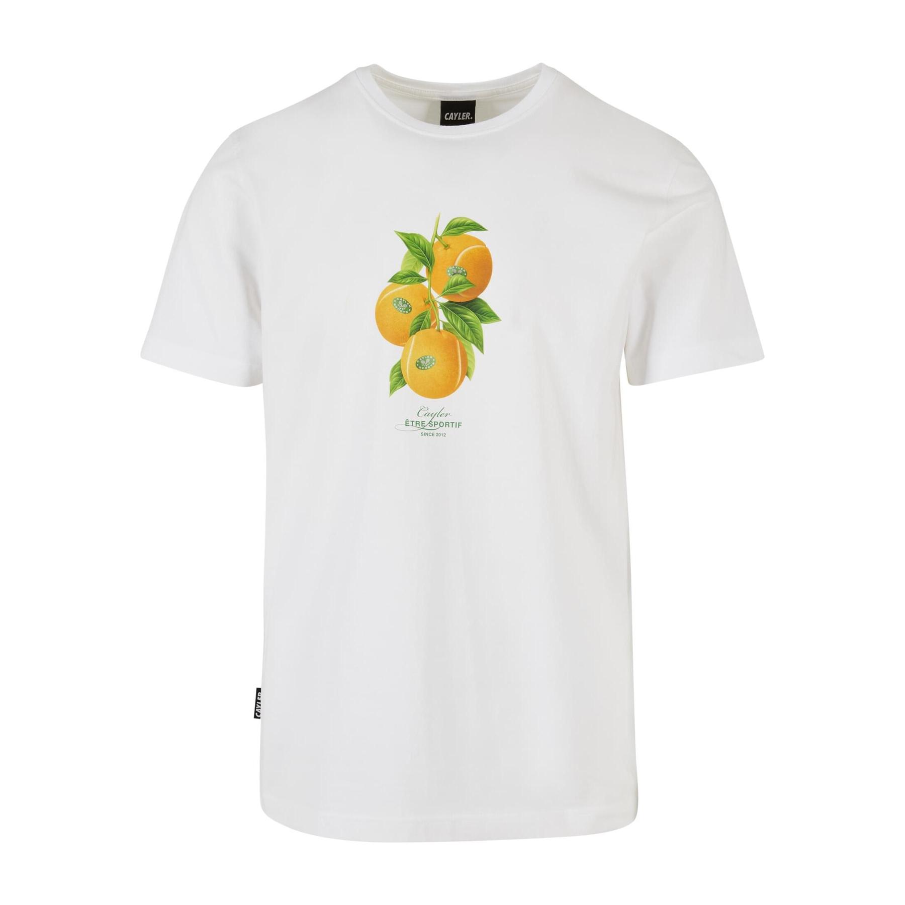 product/c/a/cayler-sons_cs3058-00220_blanc_1.jpg