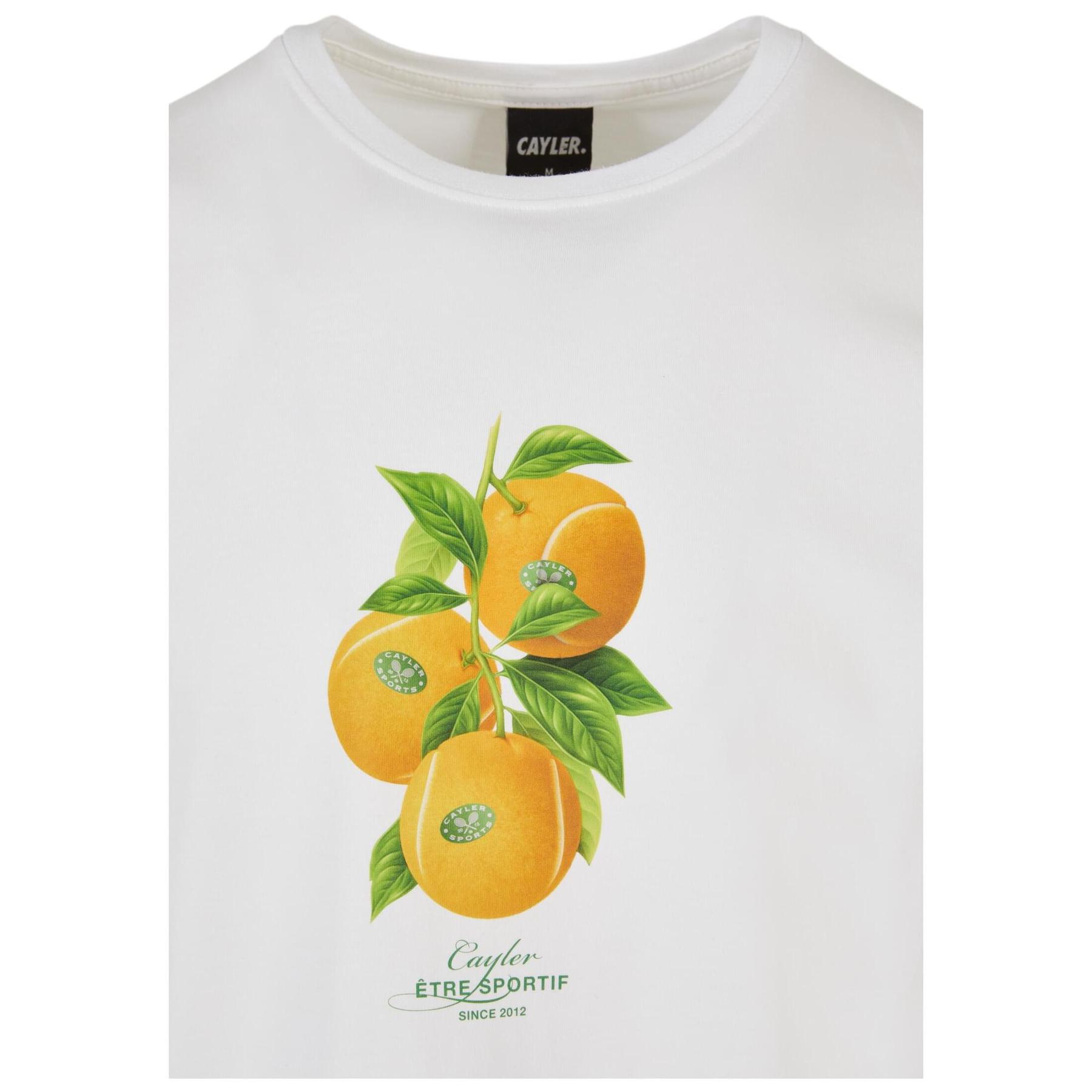 product/c/a/cayler-sons_cs3058-00220_blanc_3.jpg