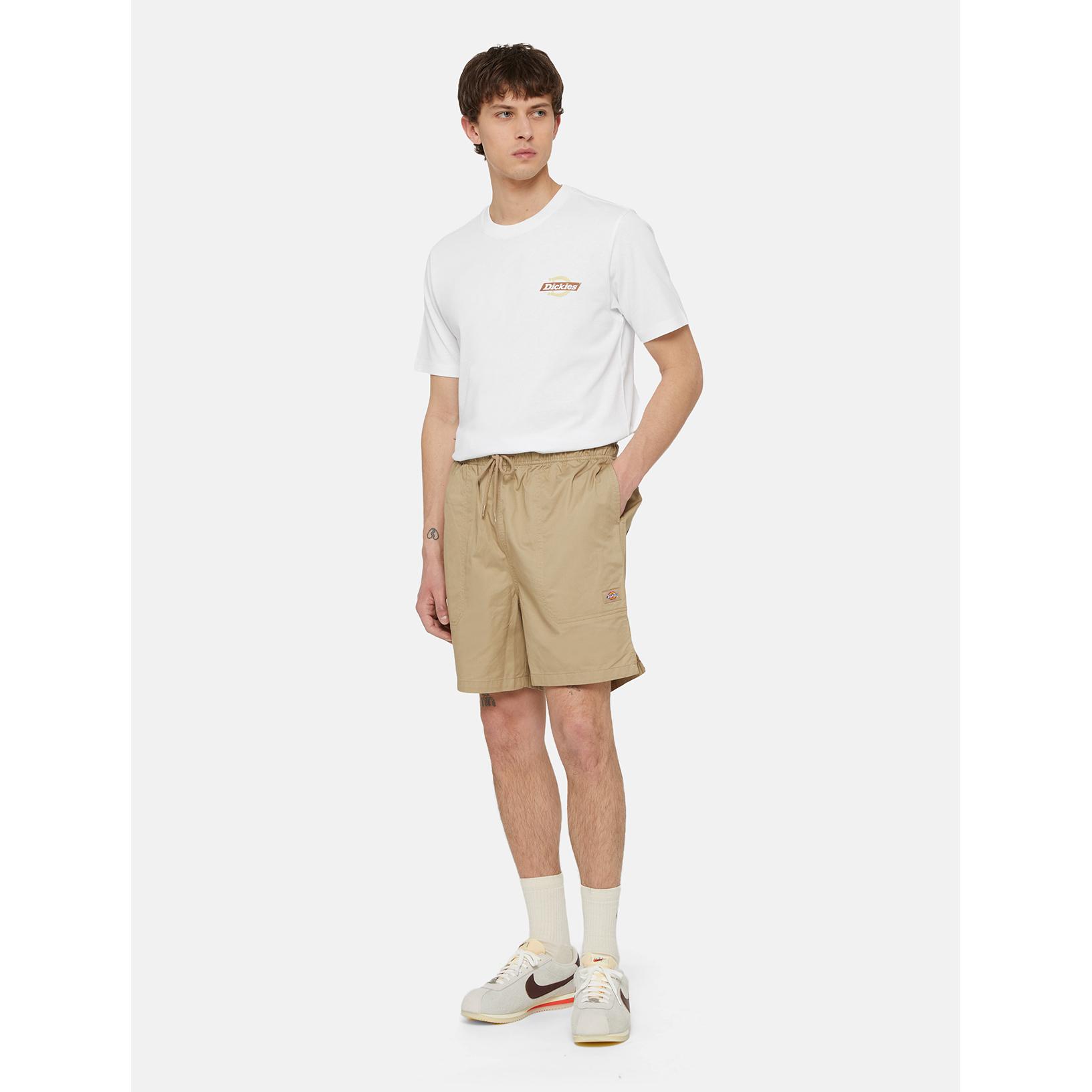 product/d/i/dickies_dk0a4xb2ds01_desert-sand_2.jpg