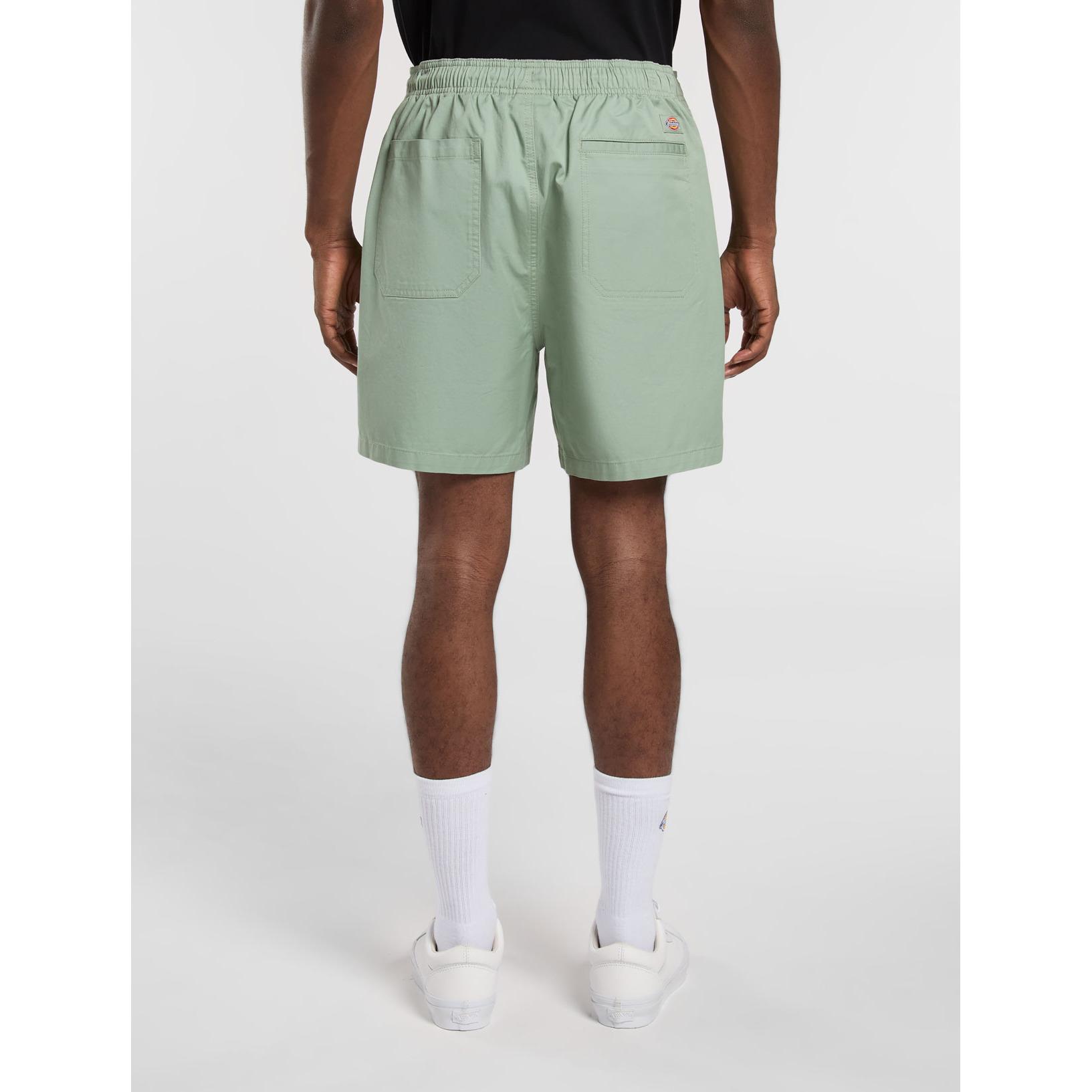 product/d/i/dickies_dk0a4xb2k361_iceberg-green_2.jpg