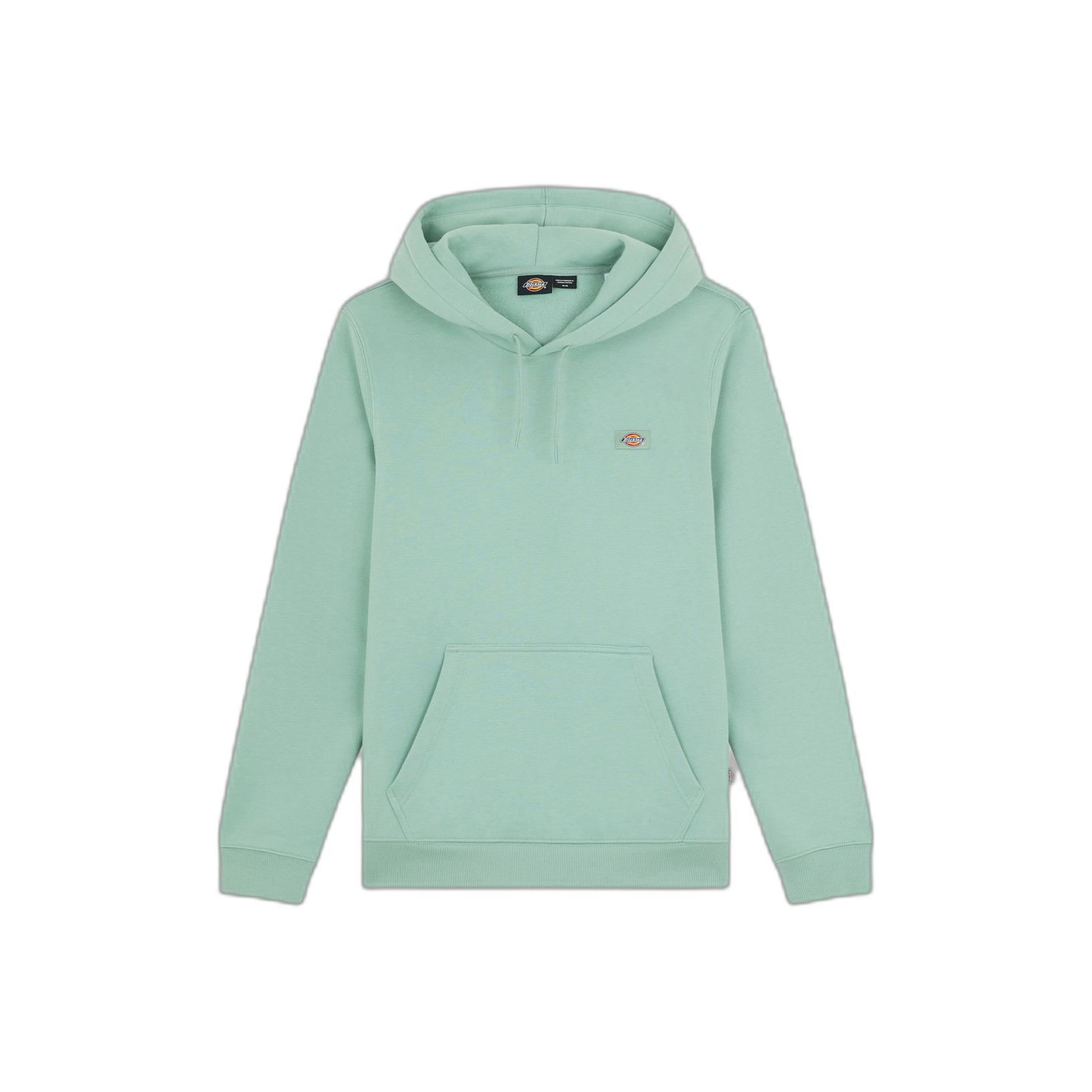 product/d/i/dickies_dk0a4xcdk361_iceberg-green_1.jpg