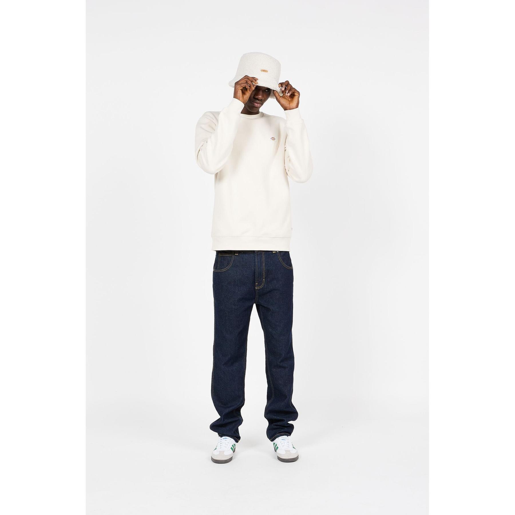 product/d/i/dickies_dk0a4xcef901_2.jpg