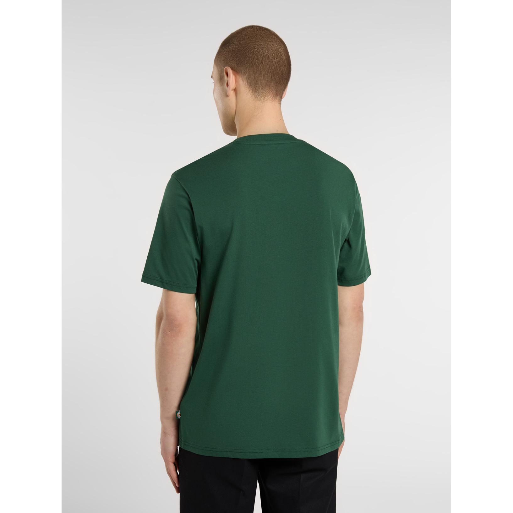 product/d/i/dickies_dk0a4xdbpin1_pine-needle-gre_6.jpg