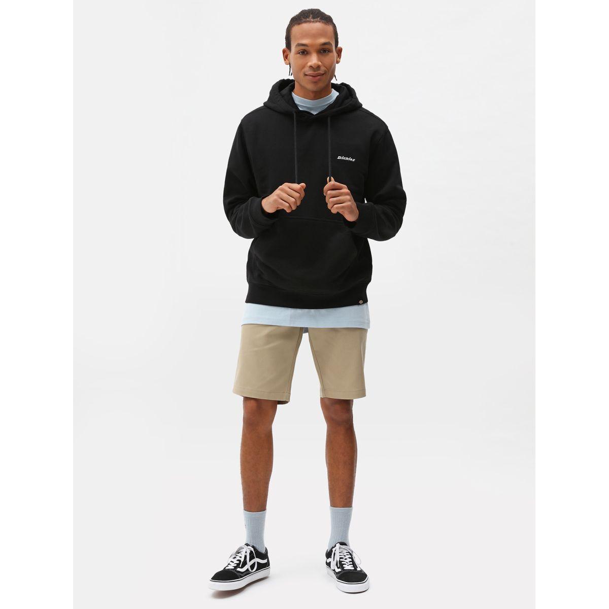 product/d/i/dickies_dk0a4xngf021_3.jpg