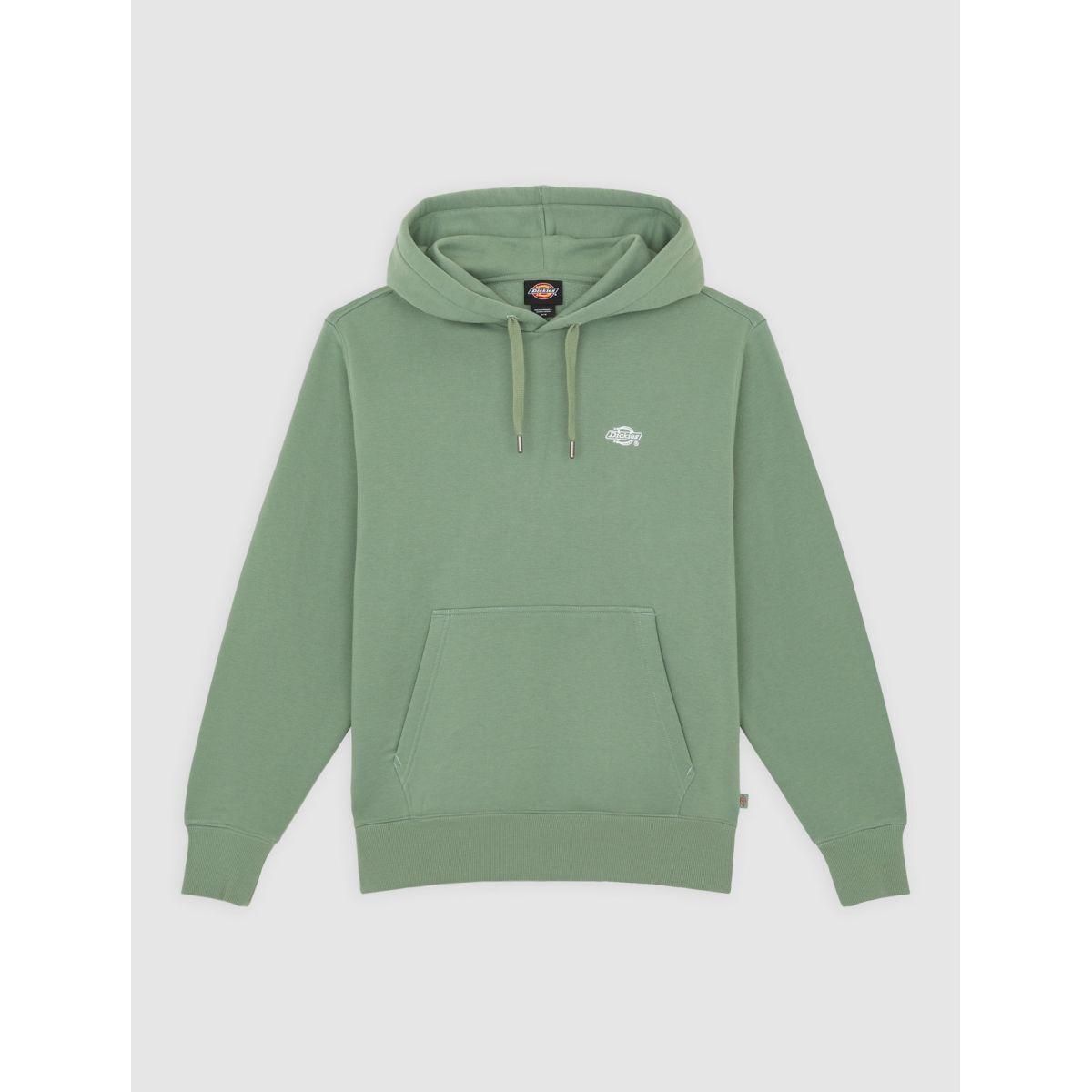 product/d/i/dickies_dk0a4y6pl191_sea-spray_2.jpg