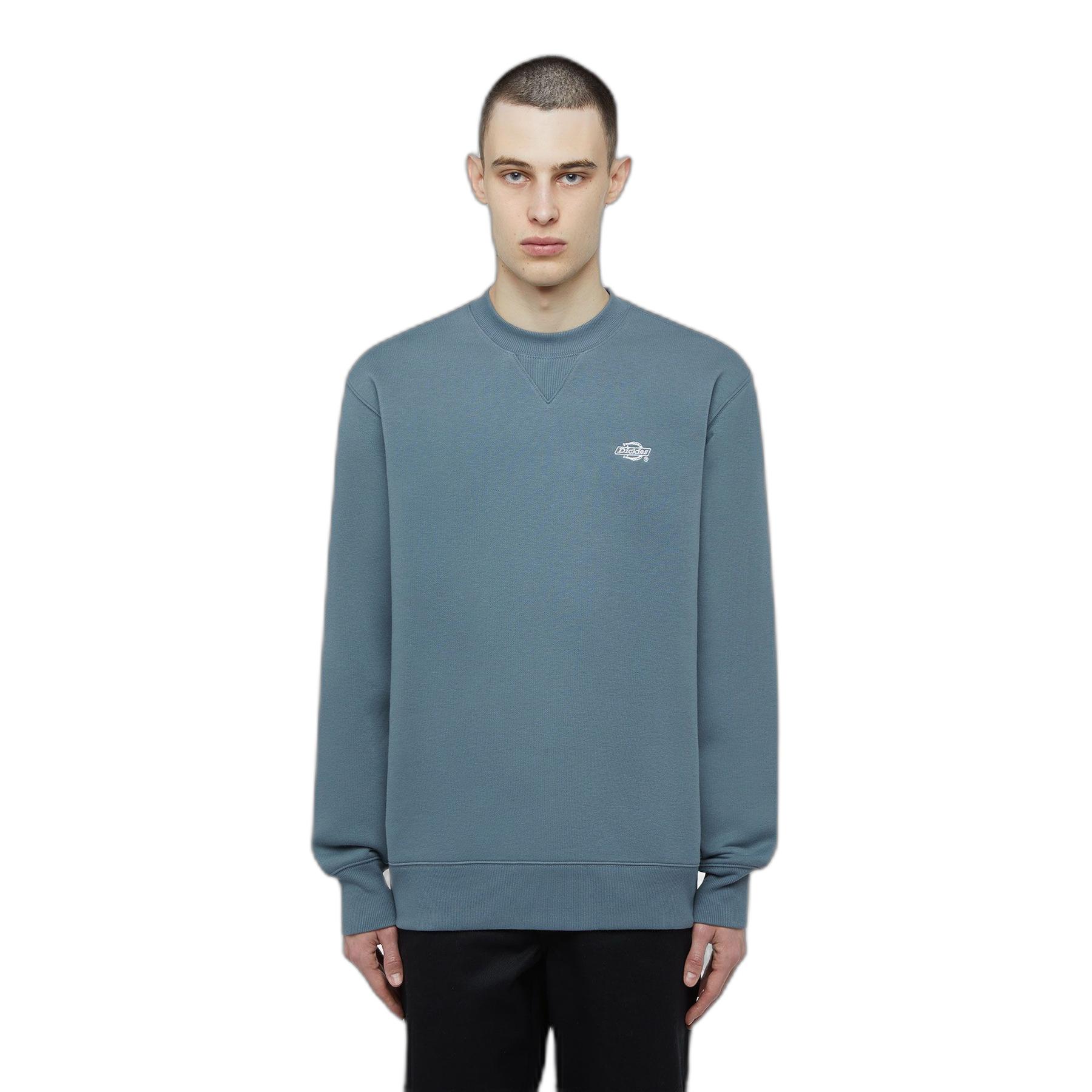 product/d/i/dickies_dk0a4y6qg701_stormy-weather_1.jpg