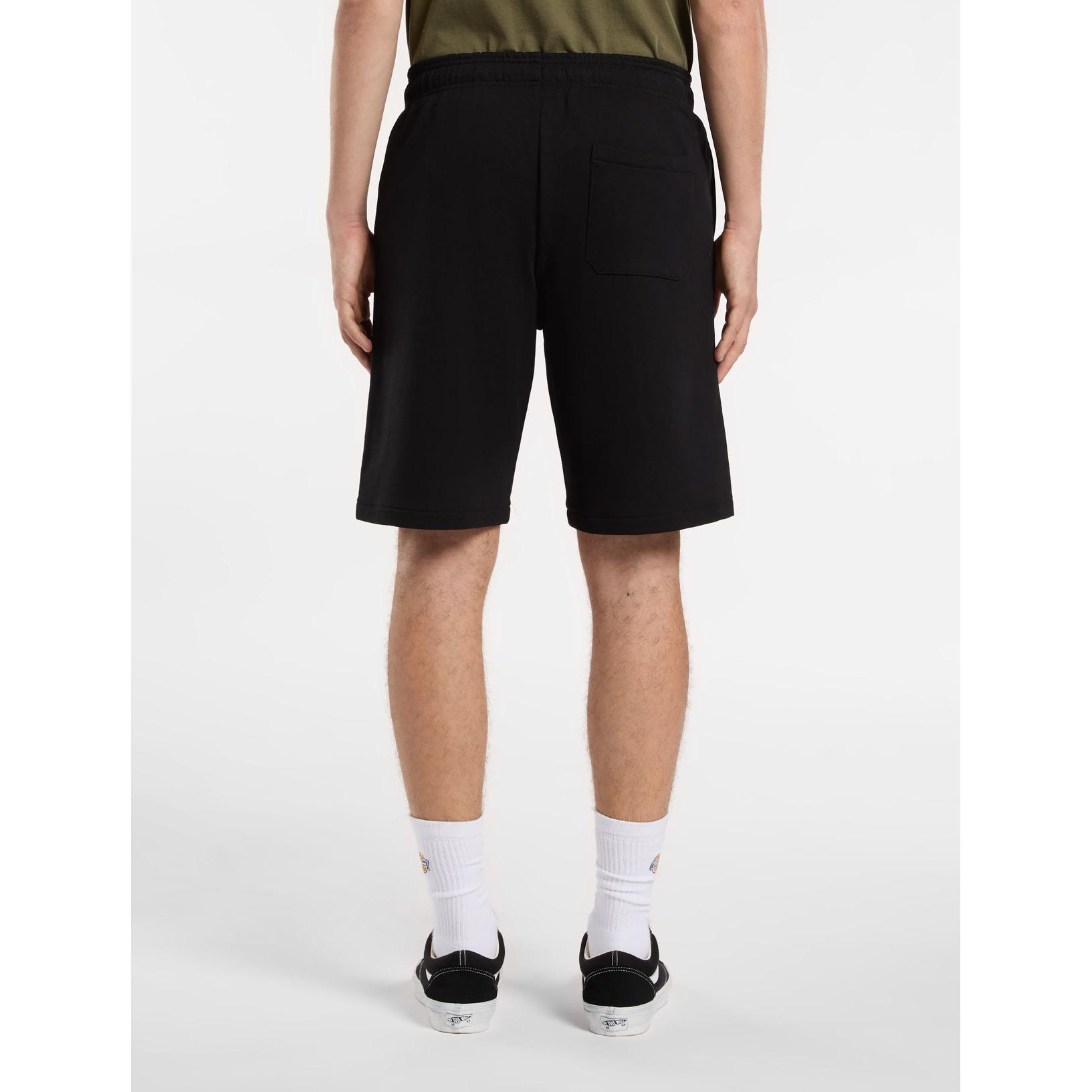 product/d/i/dickies_dk0a4y83blk1_black_2.jpg