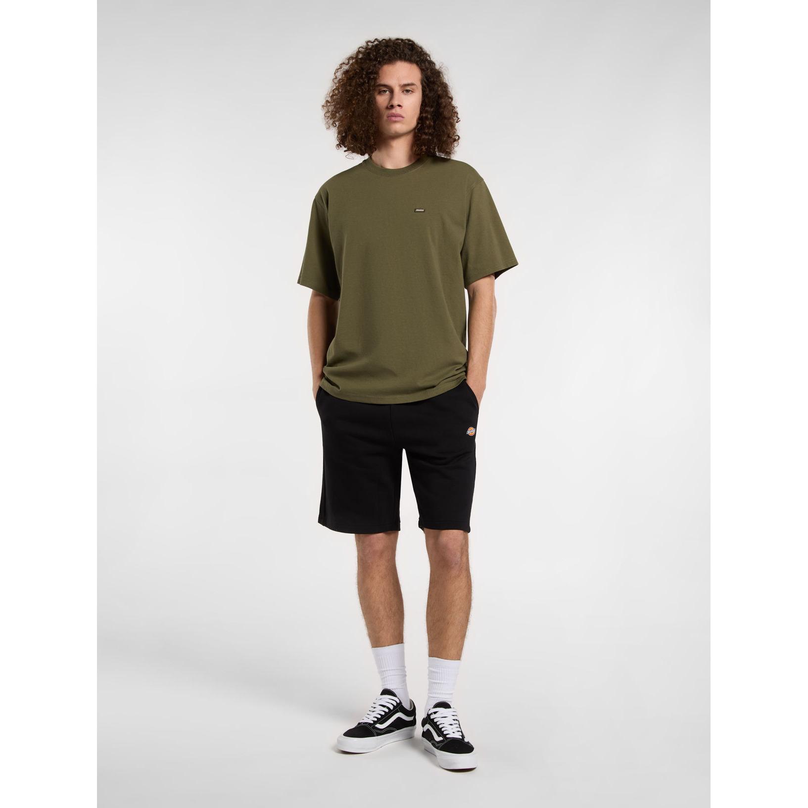 product/d/i/dickies_dk0a4y83blk1_black_3.jpg