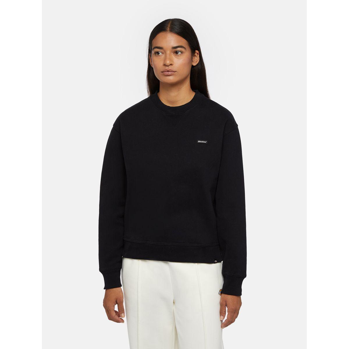 product/d/i/dickies_dk0a4z2xblk1_black_3.jpg