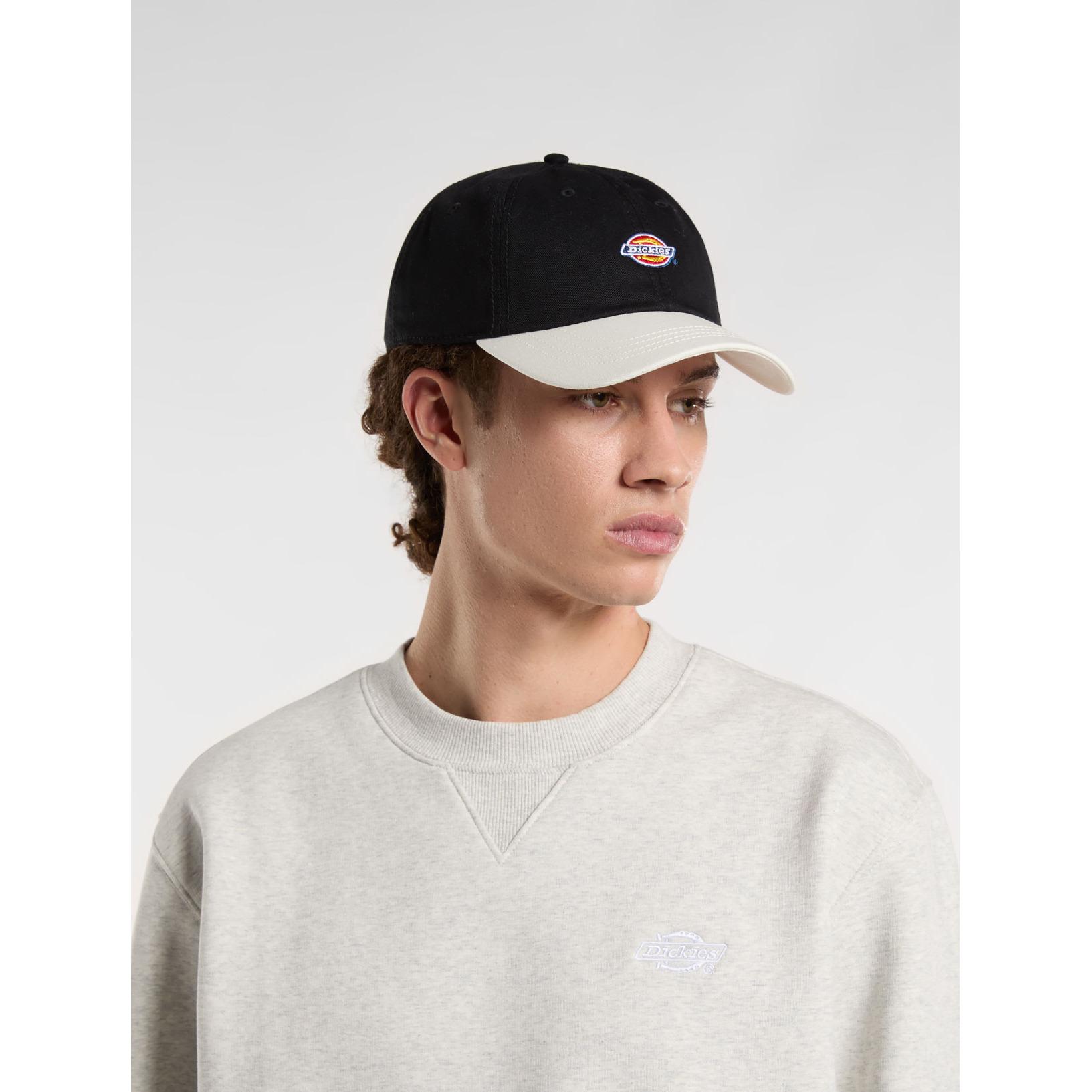 product/d/i/dickies_dk0a4z6lblk1_black_2.jpg