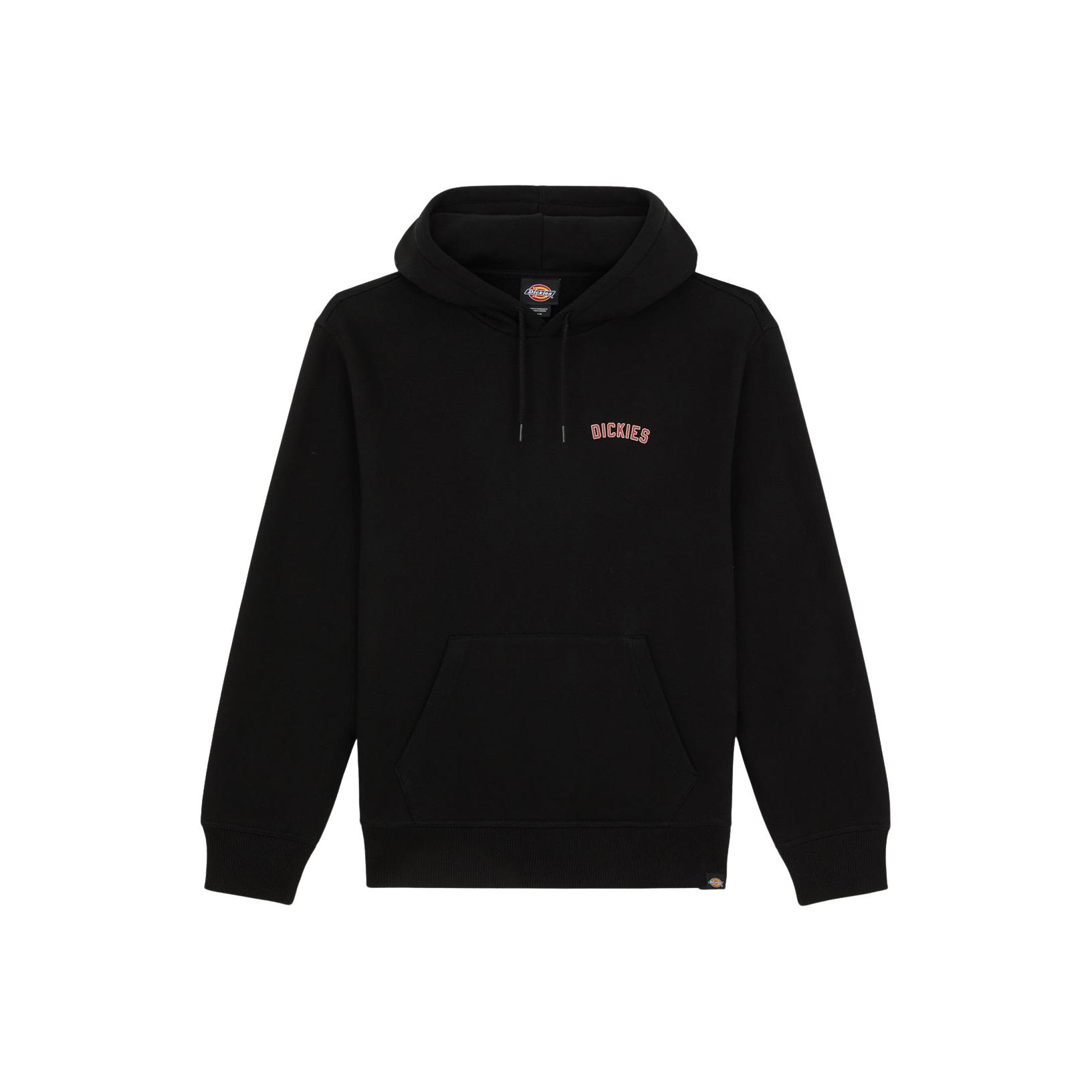 product/d/i/dickies_dk0a4zbablk1_black_1.jpg