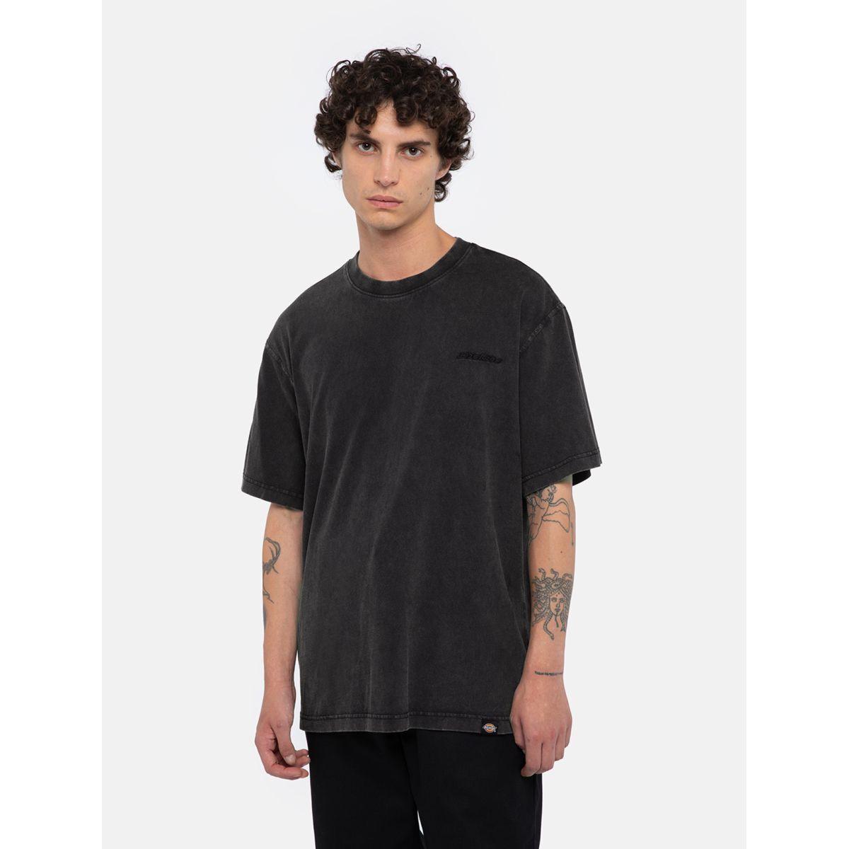 product/d/i/dickies_dk0a866bh861_dble-dye-acd-bl_3.jpg