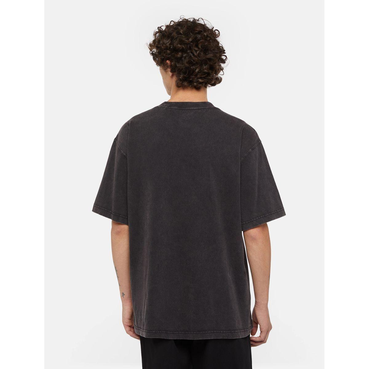 product/d/i/dickies_dk0a866bh861_dble-dye-acd-bl_4.jpg