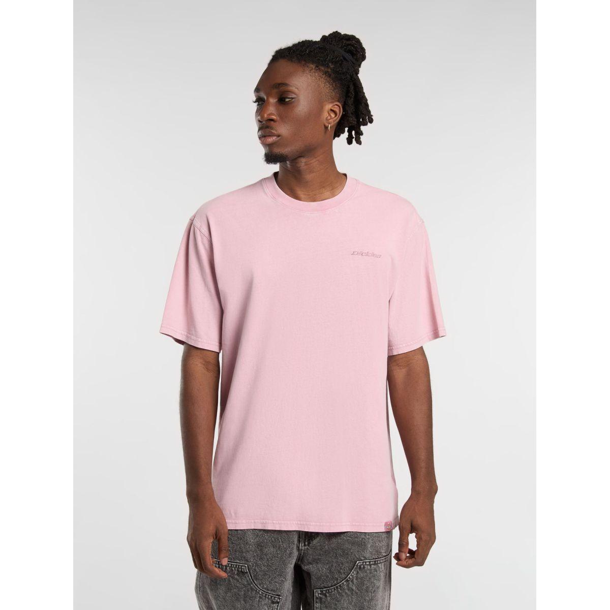 product/d/i/dickies_dk0a866bk391_lilas_3.jpg