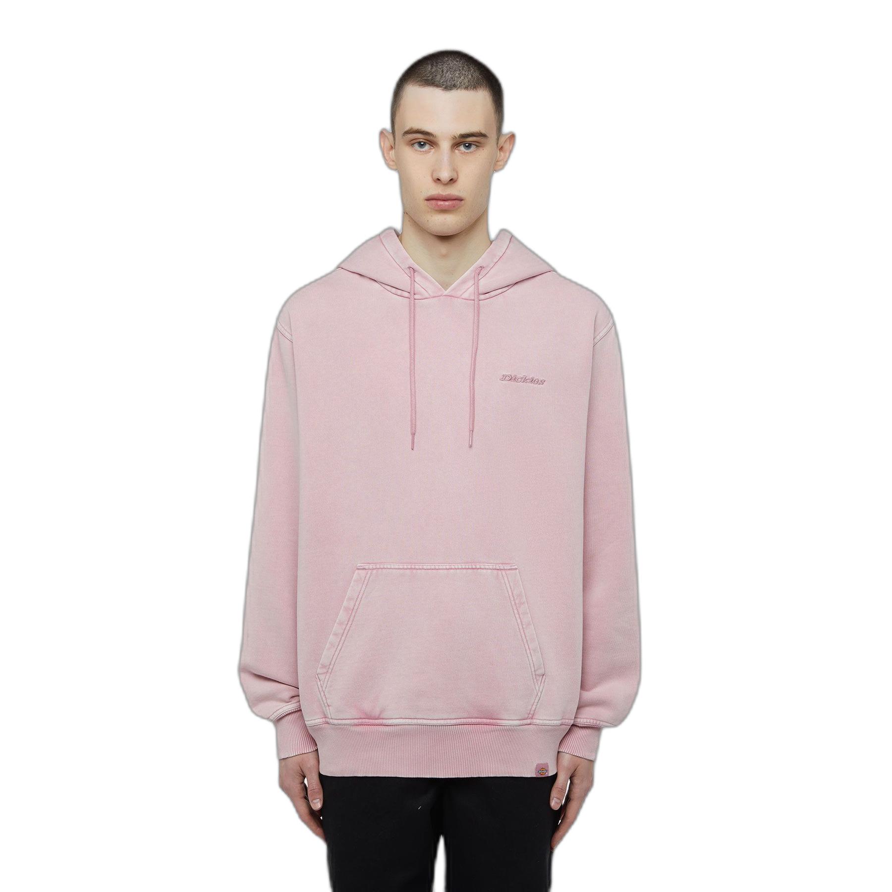 product/d/i/dickies_dk0a866dk391_lilas_1.jpg