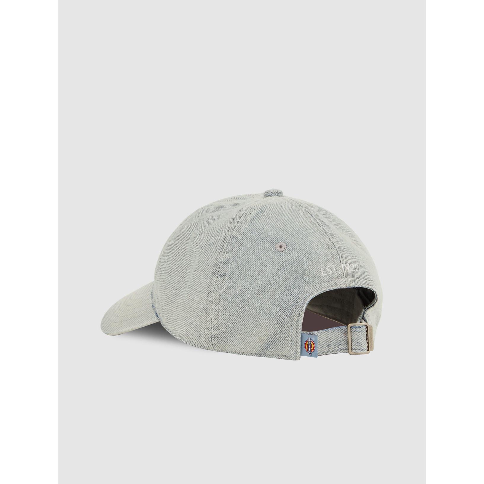product/d/i/dickies_dk0a867hc151_vintage-aged-blue_5.jpg