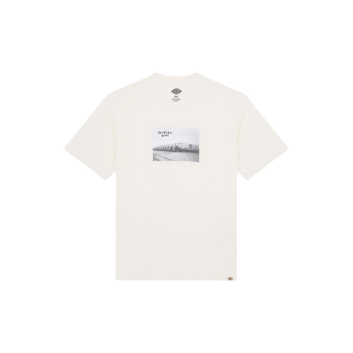 product/d/i/dickies_dk0a87ymc481_beige_1.jpg