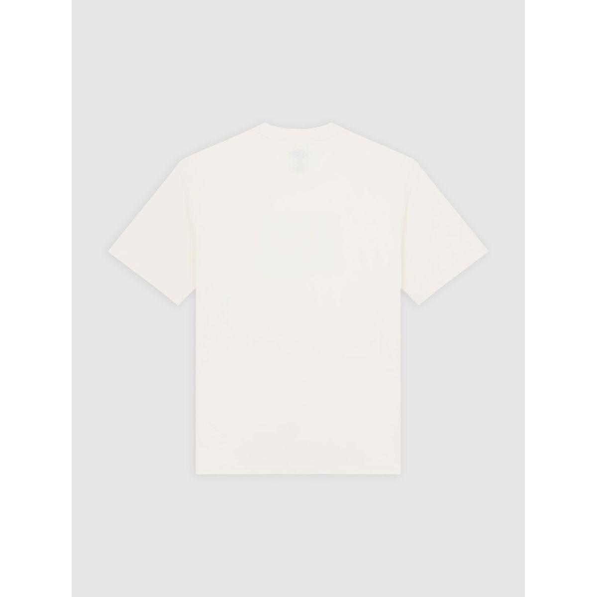 product/d/i/dickies_dk0a87ymc481_beige_2.jpg