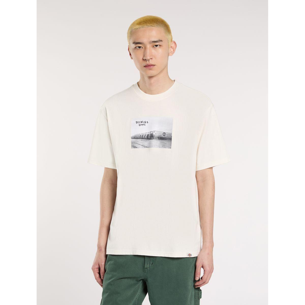 product/d/i/dickies_dk0a87ymc481_beige_3.jpg