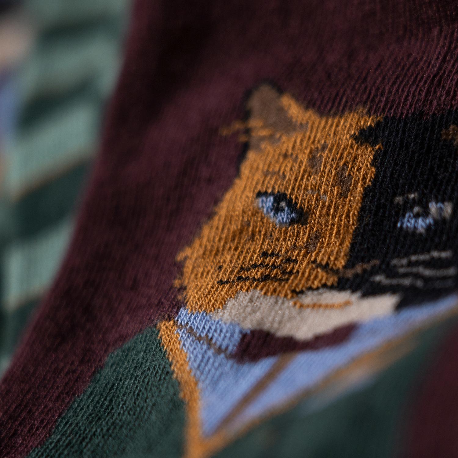 product/j/i/jimmy-lion_jl0339-aubergine_3.jpg
