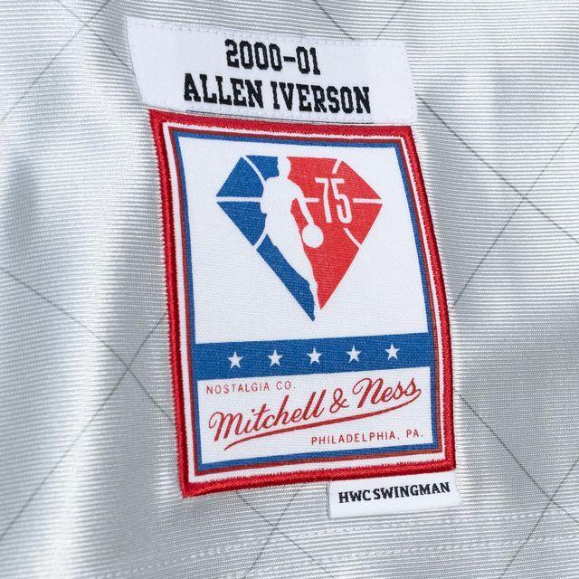 product/m/i/mitchell-ness_smjy4758-p7600aivpltn_platinum_4.jpg