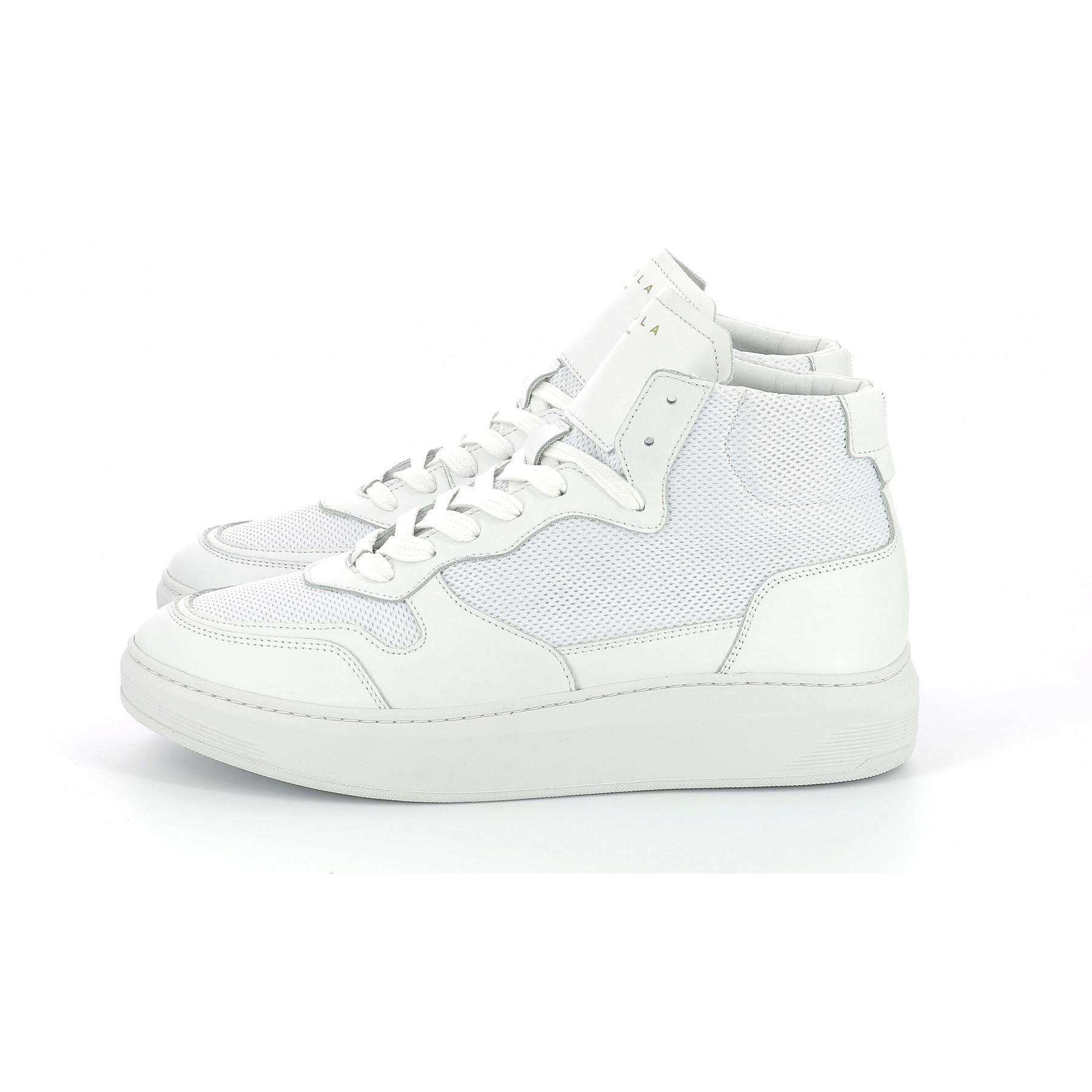 product/p/i/piola_854520-60-3_3.jpg