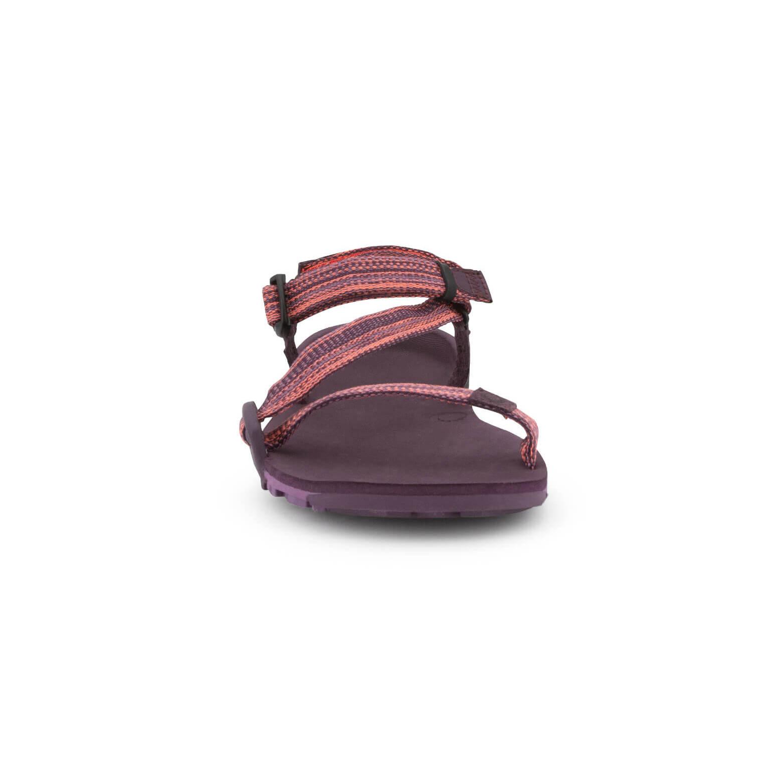 product/x/e/xero-shoes_ttw-mag_3.jpg