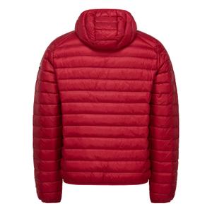 product/3/9/3900nic-300_2.jpg
